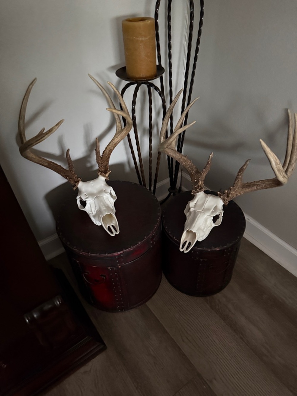 Pair of Deer Antler Skull Mounts - Natural Brown & White